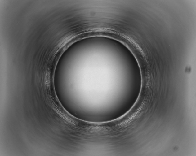 X0000101140969200806270916