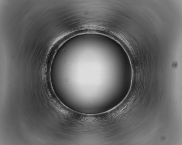 X0000101140971200806270916