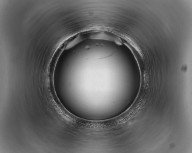 X0000101140972200806270916