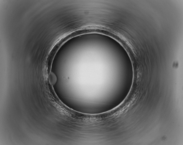 X0000101140973200806270916