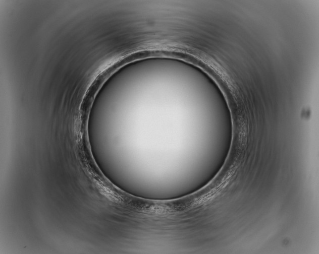 X0000101140974200806270916