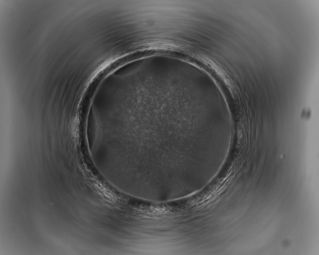 X0000101140975200806270916