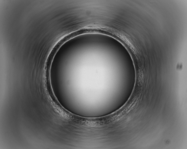 X0000101140976200806270916