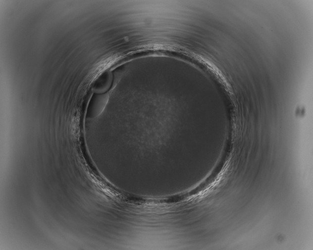 X0000101140977200806270916