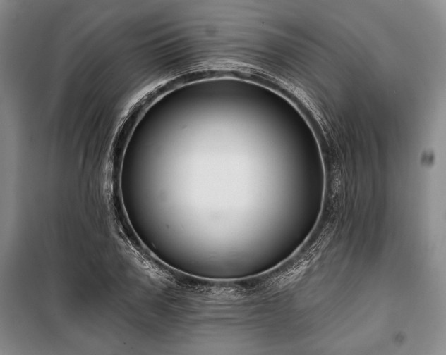 X0000101140979200806270916