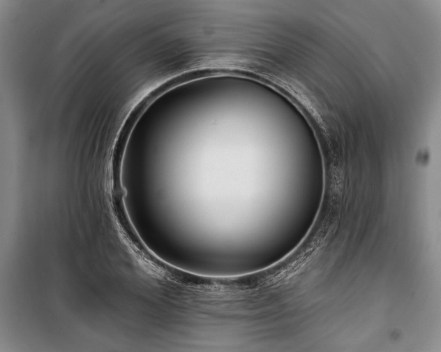 X0000101140980200806270915