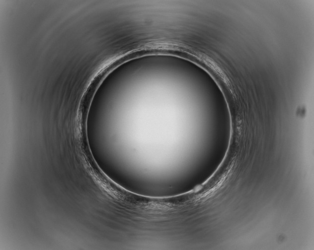 X0000101140981200806270915