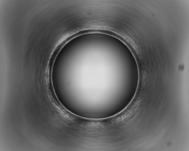 X0000101140982200806270915