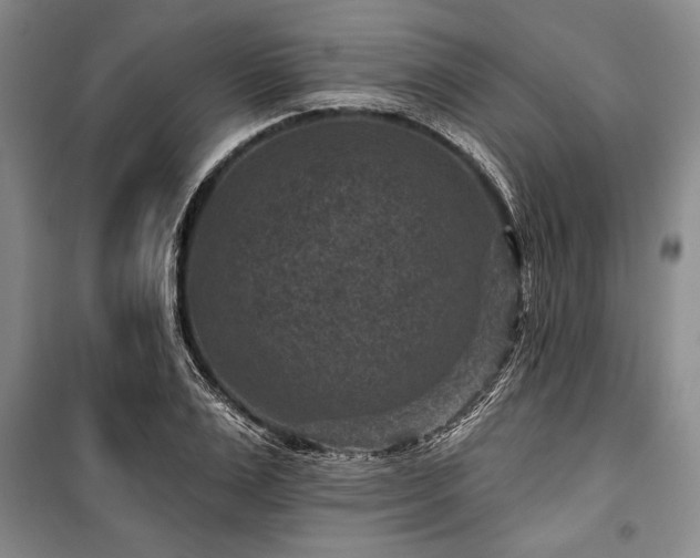 X0000101140983200806270915