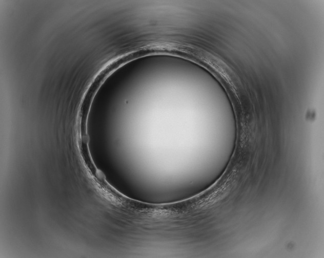 X0000101140984200806270915