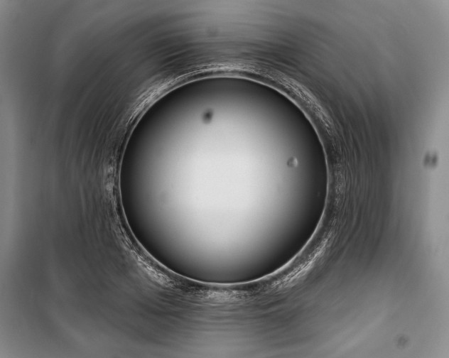 X0000101140985200806270915