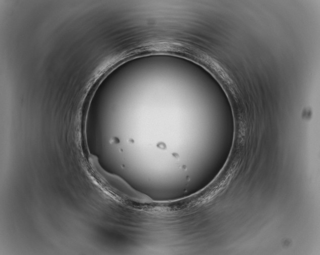 X0000101140986200806270915