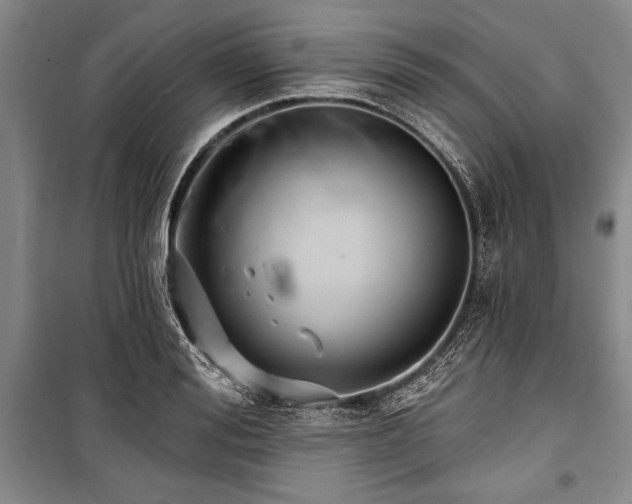 X0000101140988200806270915