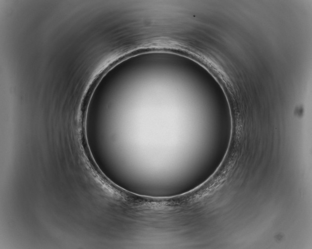 X0000101140990200806270915