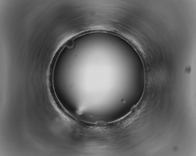 X0000101140991200806270915