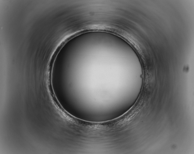 X0000101140992200806270915