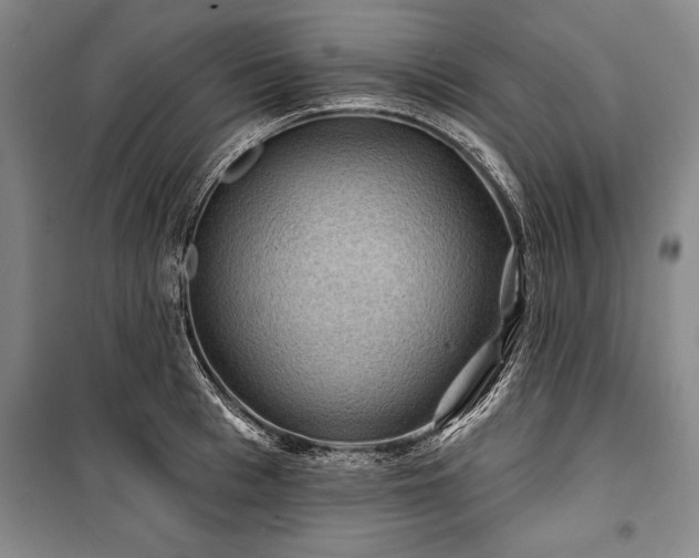 X0000101140993200806270915