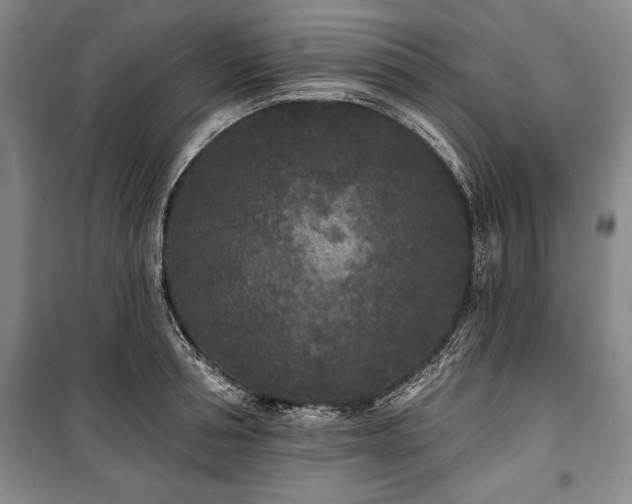 X0000101140994200806270915