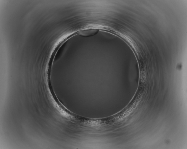 X0000101140995200806270915