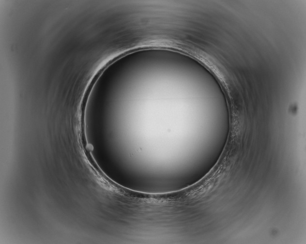 X0000101140996200806270915