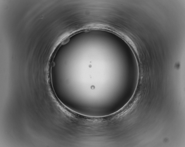 X0000101140997200806270915