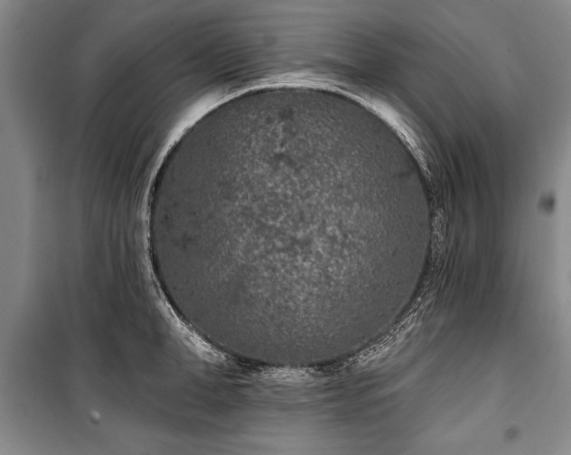 X0000101140998200806270915