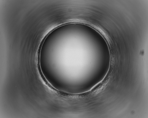 X0000101140999200806270915