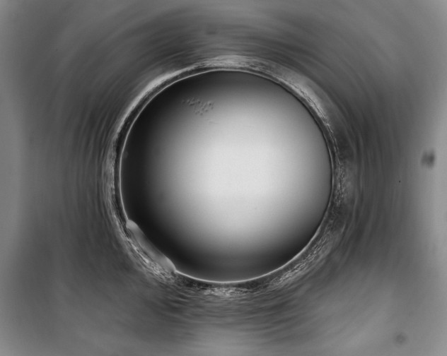 X0000101141000200806270915