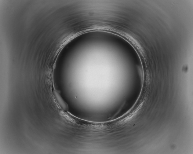 X0000101141001200806270915