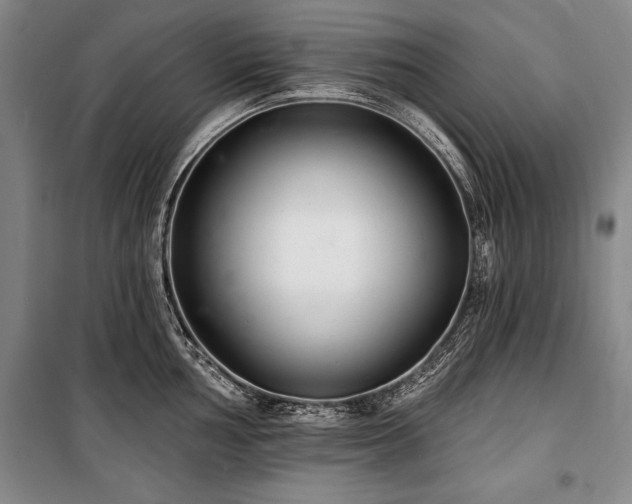 X0000101141002200806270915