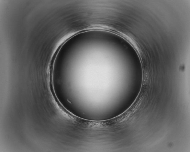 X0000101141003200806270915