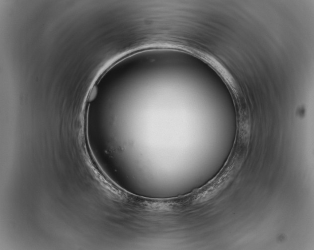 X0000101141004200806270915