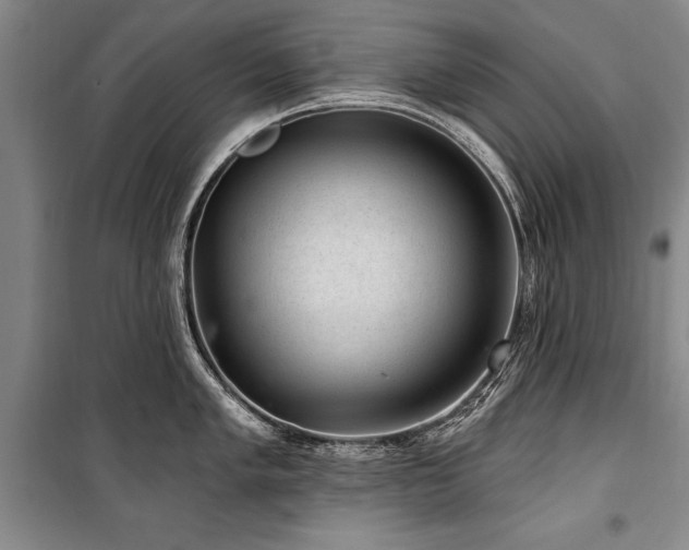 X0000101141005200806270915