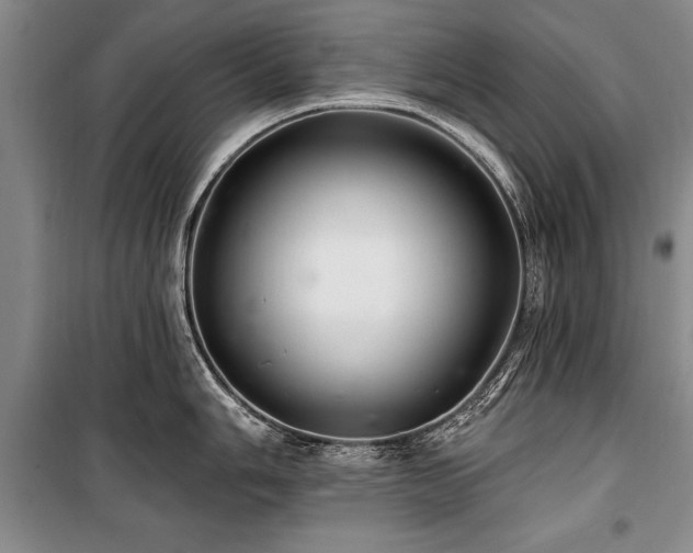 X0000101141006200806270915