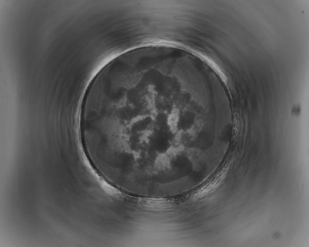 X0000101141007200806270915