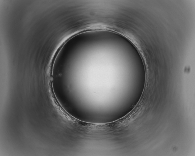 X0000101141008200806270915