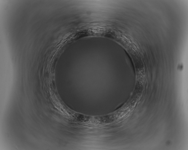 X0000101141009200806270914