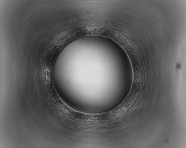 X0000101141010200806270914