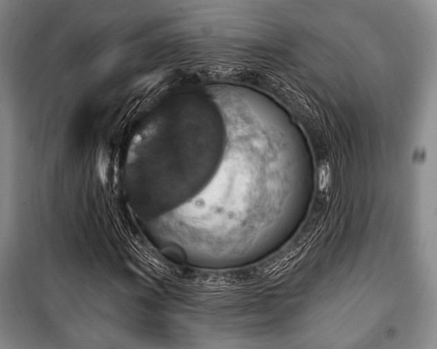 X0000101141011200806270914