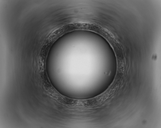 X0000101141013200806270914