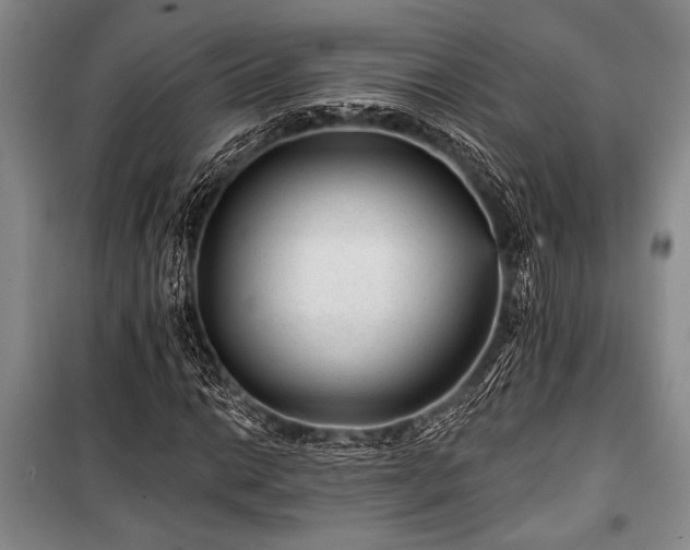 X0000101141014200806270914