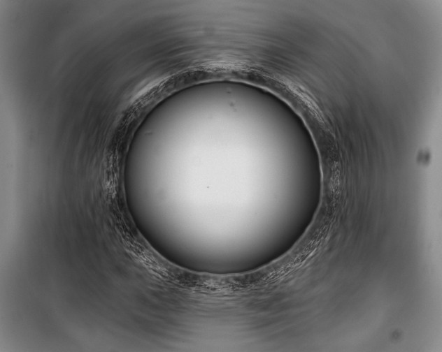 X0000101141015200806270914