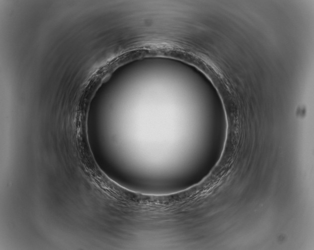 X0000101141016200806270915