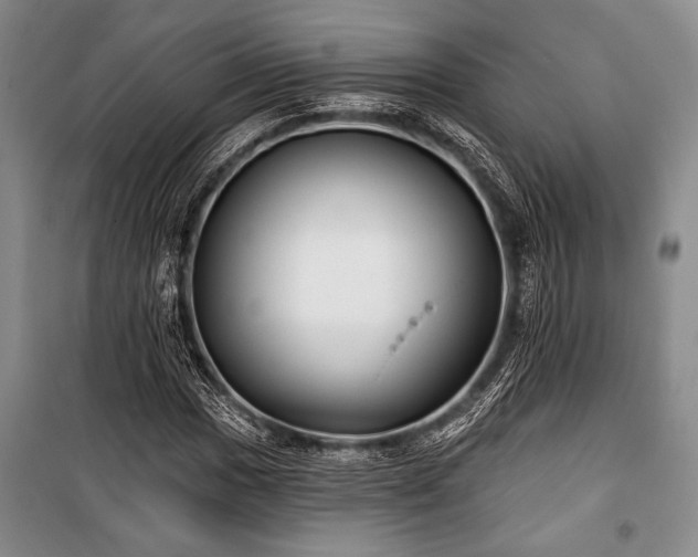 X0000101141017200806270915