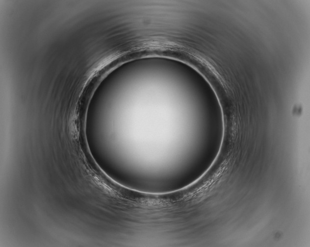 X0000101141018200806270915