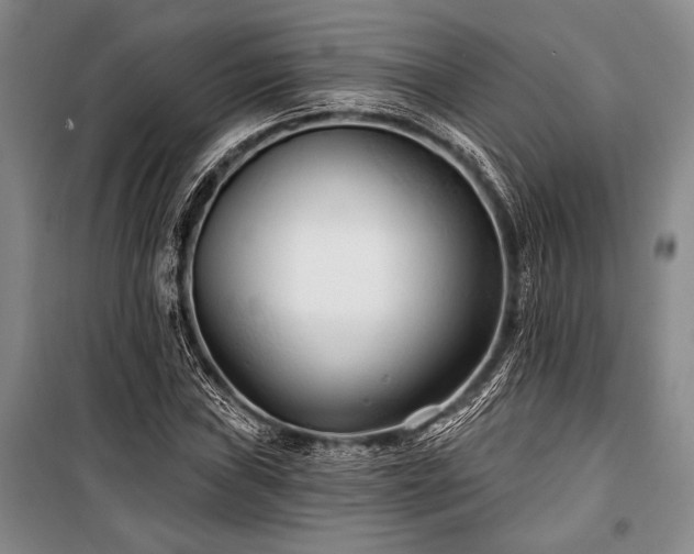 X0000101141019200806270915