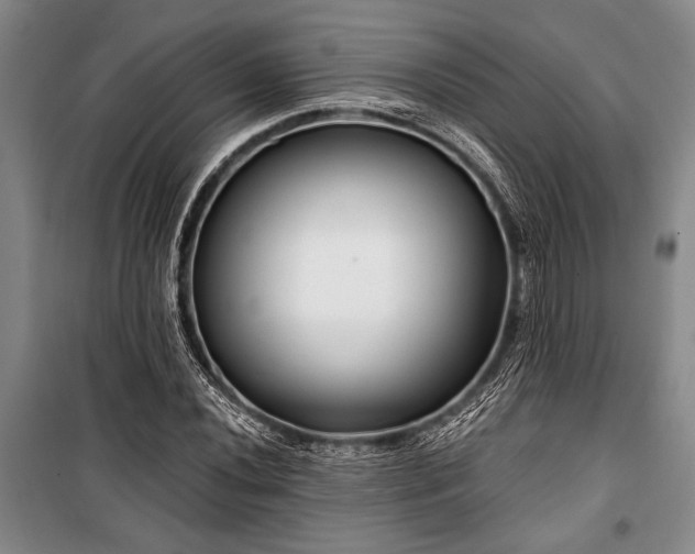 X0000101141020200806270915