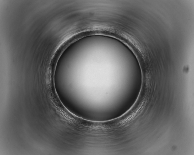 X0000101141021200806270915