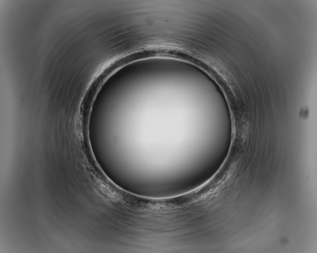 X0000101141022200806270915