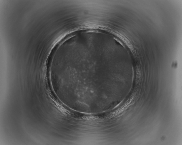 X0000101141023200806270915